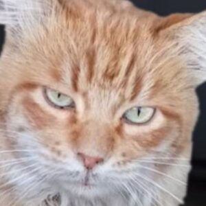 موکا پسر مهربان و دوست داشتنی