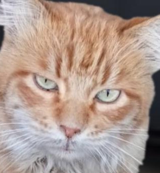 موکا پسر مهربان و دوست داشتنی