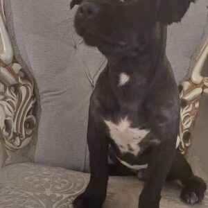 گمشده در شهرک بهشتی تهران