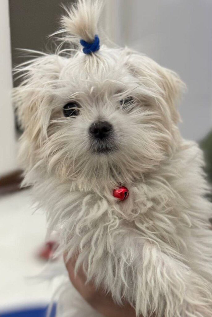 نگهداری از کوچولوی شما