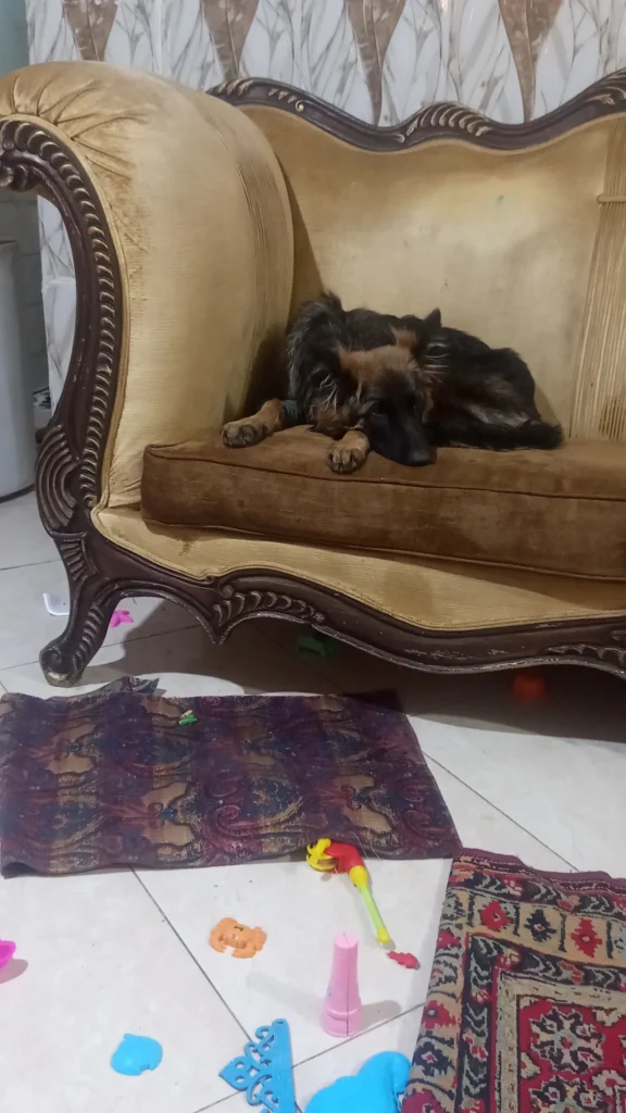 نیازمند رسیدگی