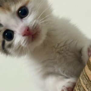 دختر مهربون یک و نیم ماهه