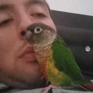 گرینچیک گمشده