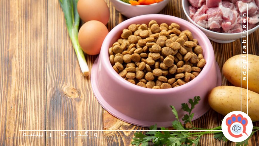 مواد غذایی مجاز و غیرمجاز برای گربهها