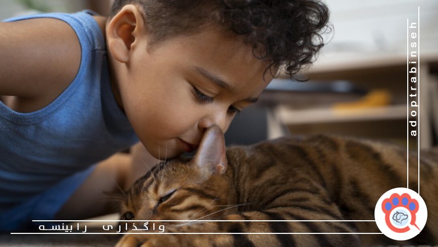 تاثیر حیوانات خانگی بر کاهش تنهایی و افسردگی