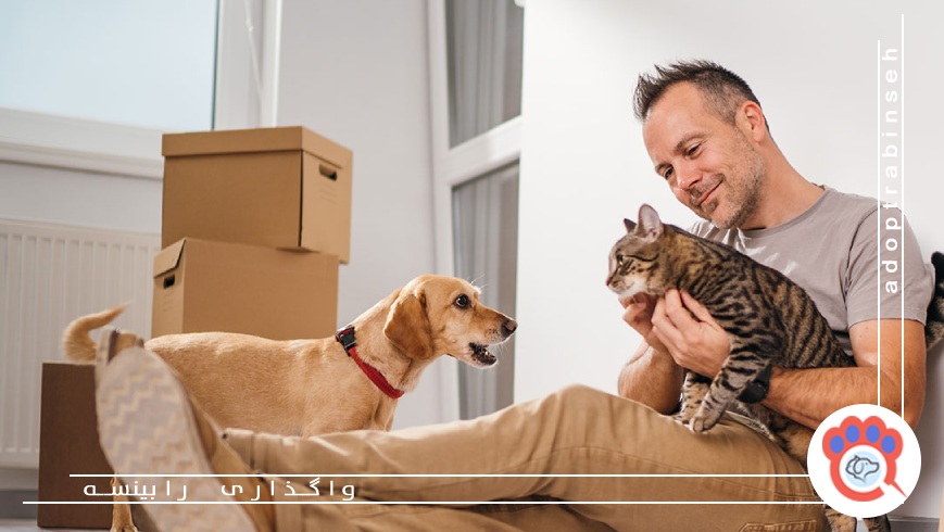 مزایا و معایب نگهداری حیوان خانگی در آپارتمان