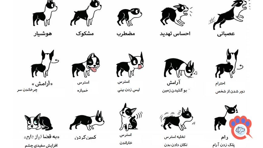 نقش حرکت دم در زبان بدن سگ ها