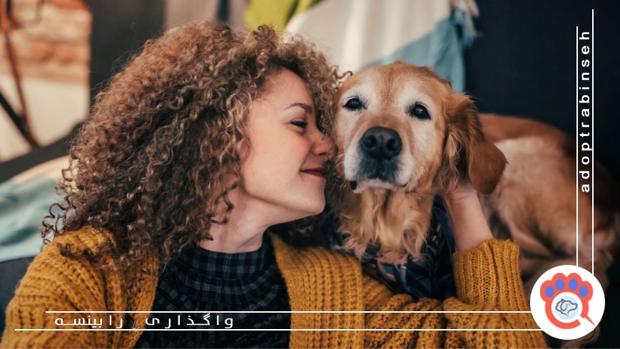 دوستی انسان با حیوانات خانگی و تأثیر آن بر سلامت روان