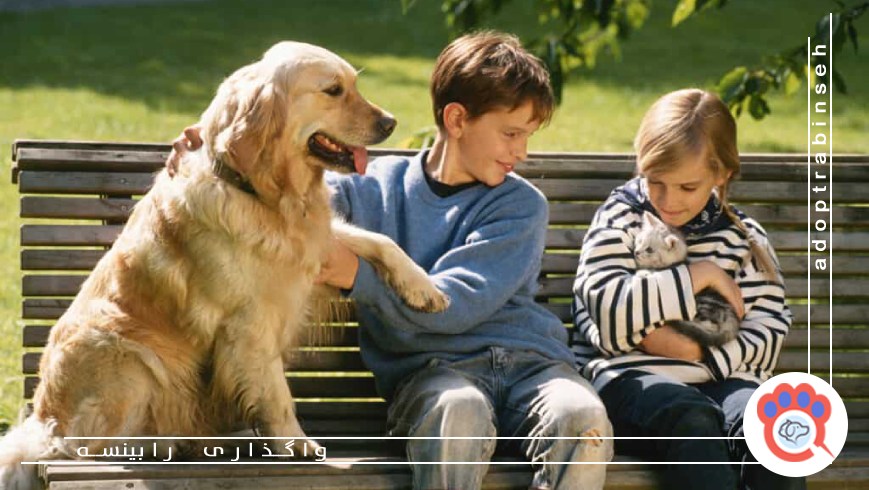 چرا حیوانات خانگی به عضوی از خانواده تبدیل میشوند؟