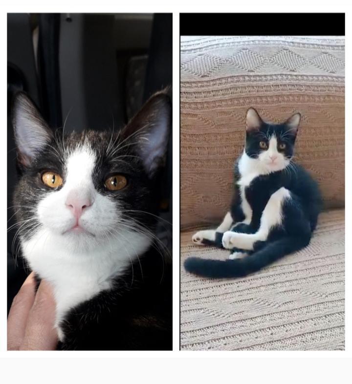 واگذاری فوری