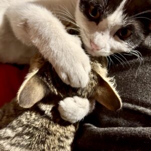 پسر کوچولوی ۳/۵ ماهه