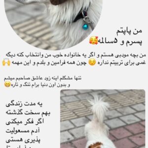 واگذاری اشپیتز(رشت .تهران )