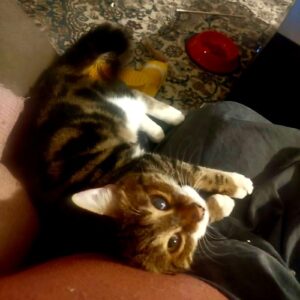 واگذاری یک پسر بسیار مهربون، بغلی و خورخوری