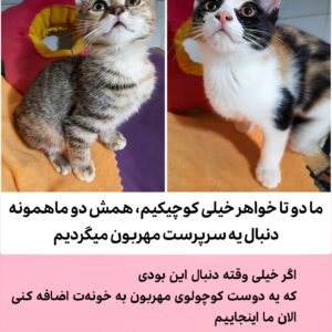 دختر زیبای کوچولو وبغلی