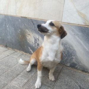 دختر پرانرژی