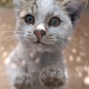 آقا فندق مهربون :)