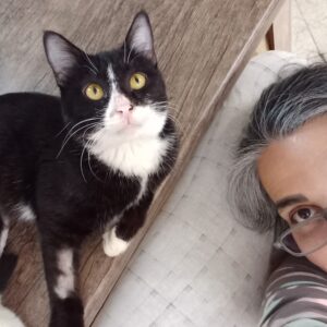 بدنبال سرپرست برای گربه تاکسیدوی نر