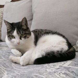 خاتون زیبا و مهربون