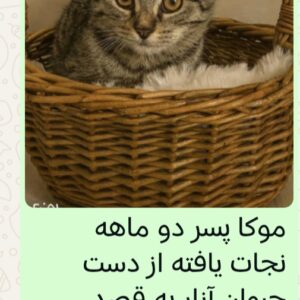 موکا پسر دو ماهه مهربان و بغلی