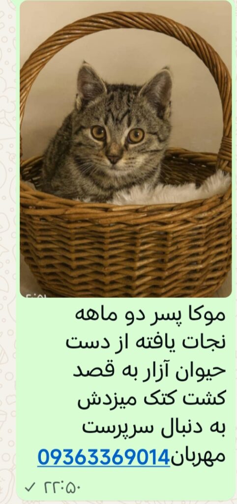 موکا پسر دو ماهه مهربان و بغلی