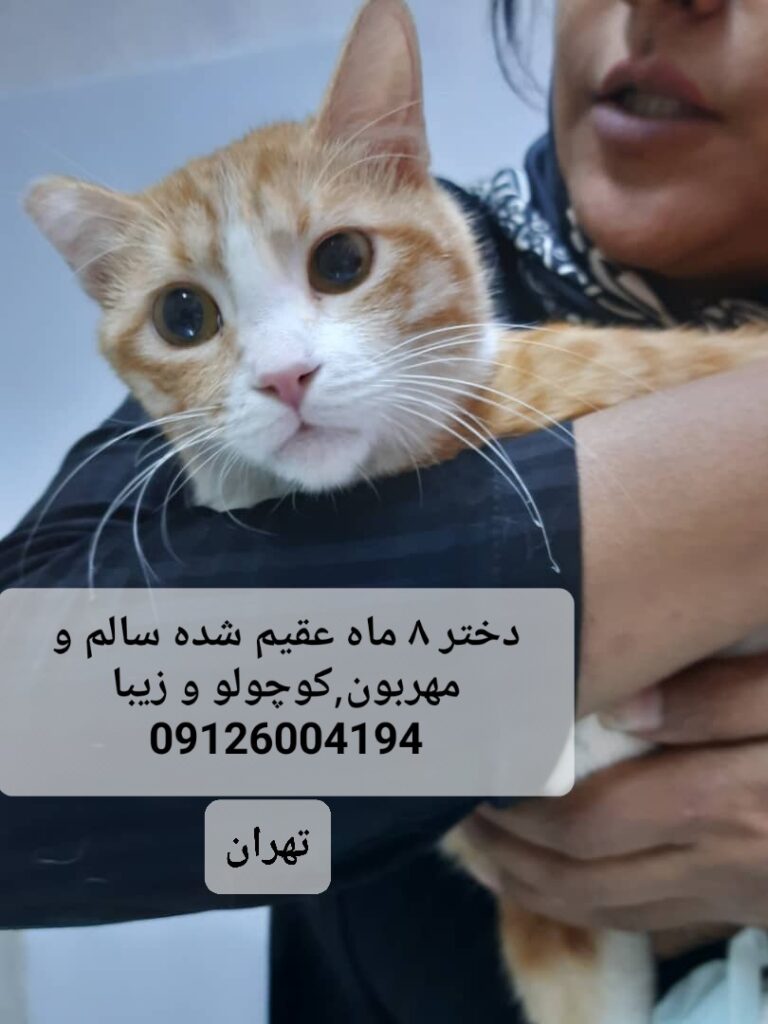 دختر زیای ۸ ماهه عقیم شده