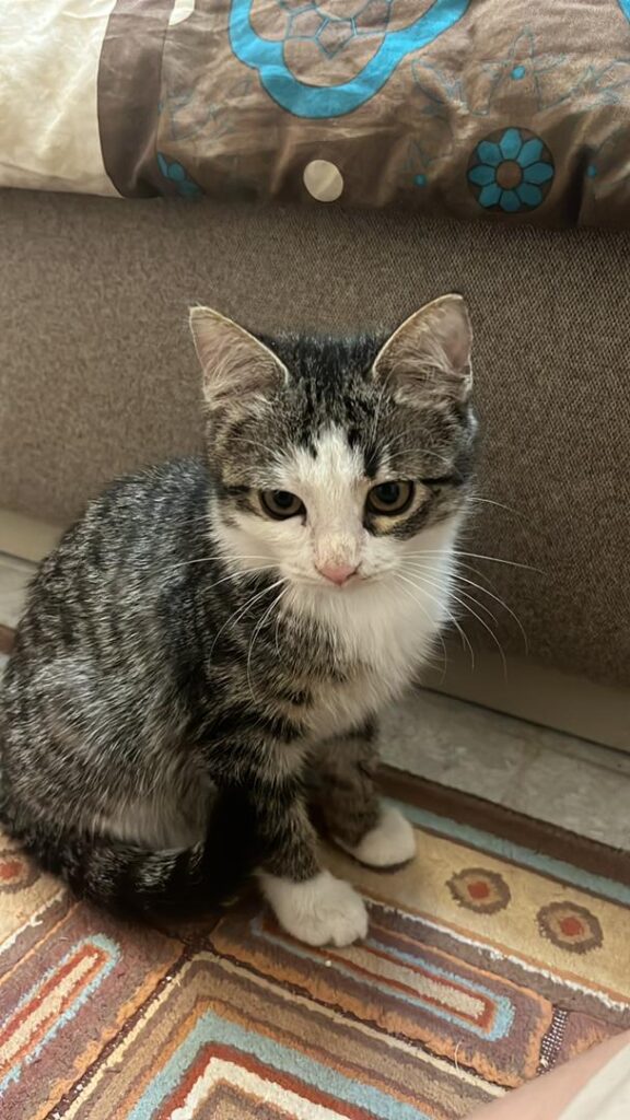 نجات دختر دو ماهه نجات یافته از دهان نار