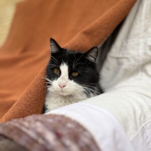 دکتر گفته باید تو خونه بمونم