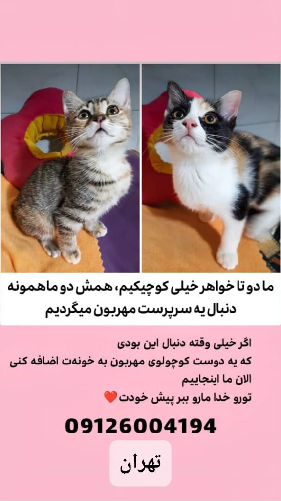 خواهرهای کوجولو وزیبای بی نظیر متولد در منزل