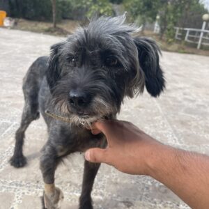 آقا تدی مهربون