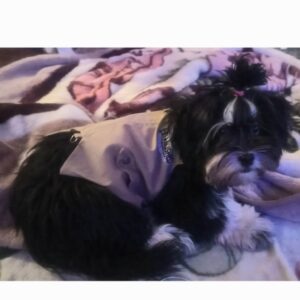 بعلت نداشتن شرایط تا سنش کمه مجبورم واگزارش کنم پسرمو