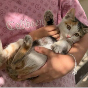 مهربونترین پیشی دنیا