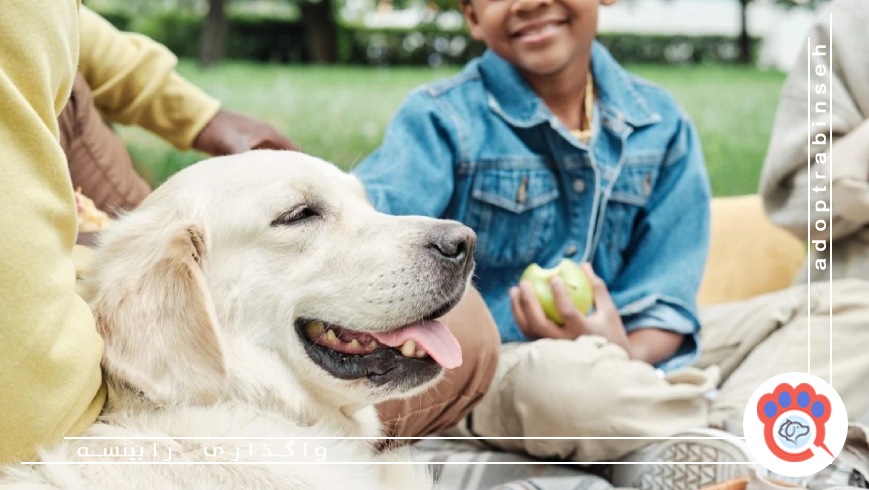 چالشها و ملاحظات نگهداری از سگ برای خانوادههای دارای کودک