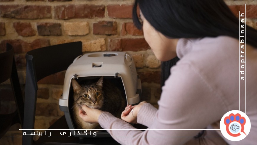 اصول تغذیه سالم و متناسب با نوع حیوان خانگی