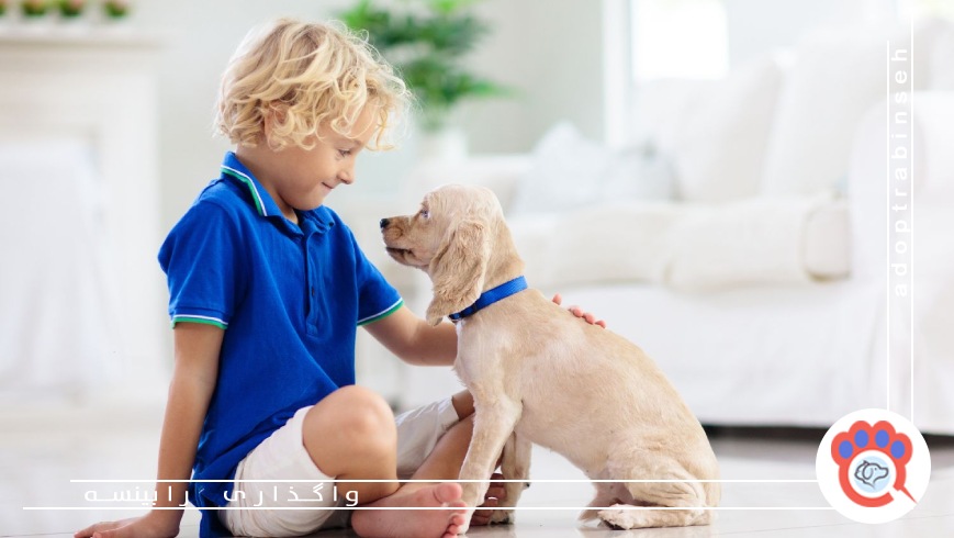 نقش سگ در تقویت حس مسئولیتپذیری کودک