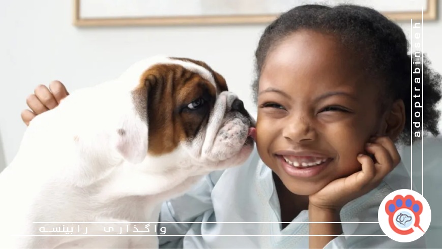 بهبود مهارتهای اجتماعی کودکان با نگهداری از سگ