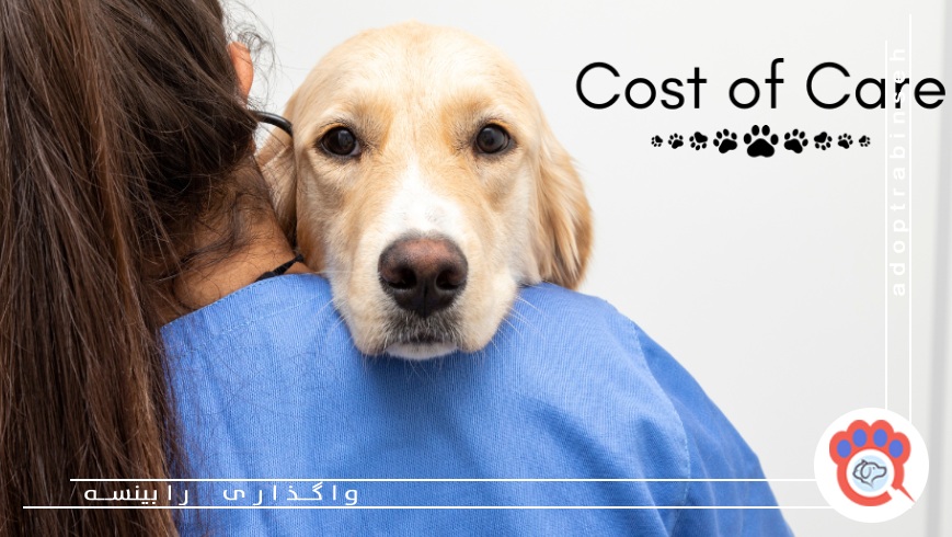 نگهداری حیوان خانگی