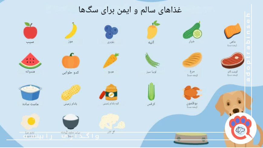 نیازهای تغذیهای حیوانات خانگی بر اساس سن و نژاد