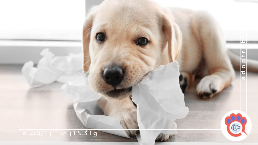 استفاده از لوازم و وسایل نامناسب برای نگهداری