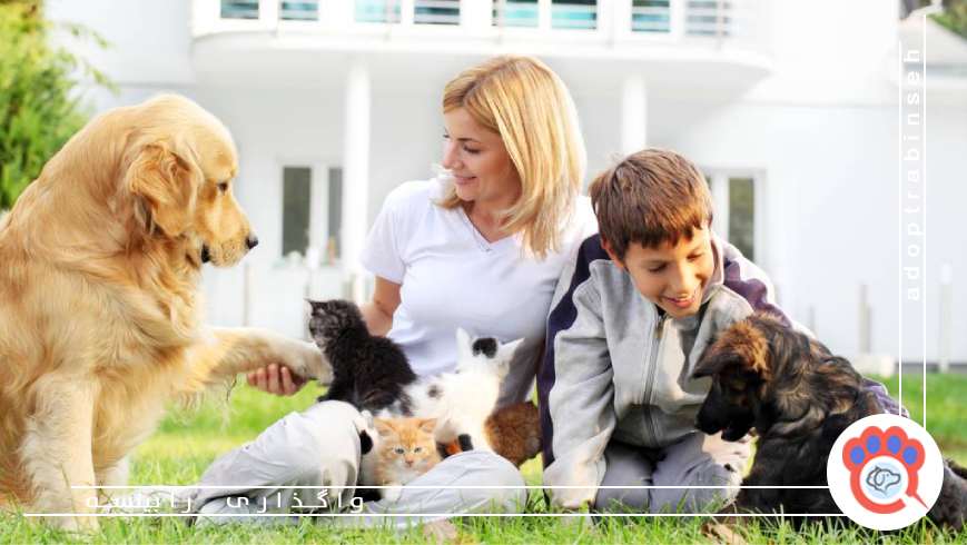 The real costs of keeping pets