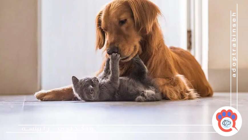 مخارج پیشبینینشده و شرایط اضطراری