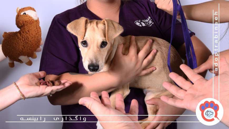 نادیده گرفتن نیازهای روحی و رفتاری حیوان