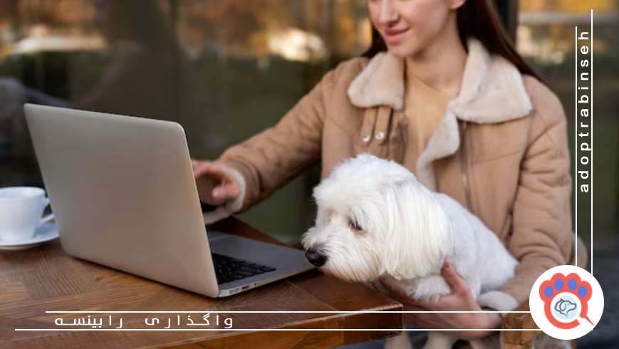 هزینههای بهداشتی و نظافت