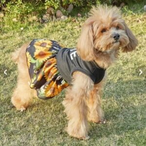 نگهداری از کوچولوی شما در منزل شخصیِ ما🥰🐶