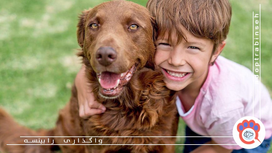 قبل از به سرپرستی گرفتن سگ این ۱۵ سوال را از خودتان بپرسید