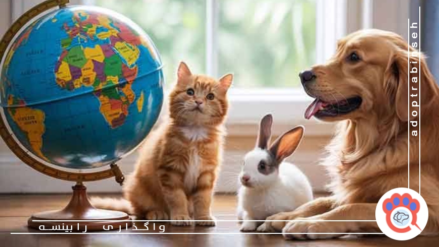 گزینههای جایگزین در صورت عدم امکان مهاجرت با حیوان خانگی