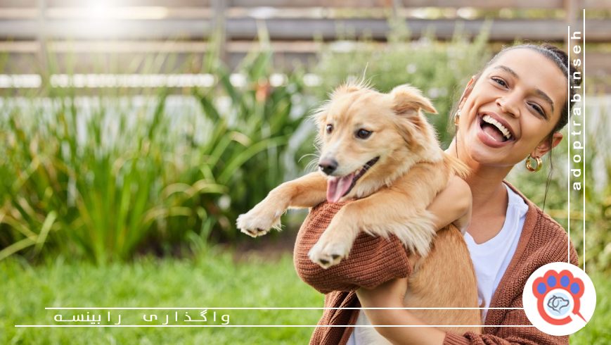 مزایای سرپرستی حیوان خانگی برای کمک به حیوانات بیسرپرست