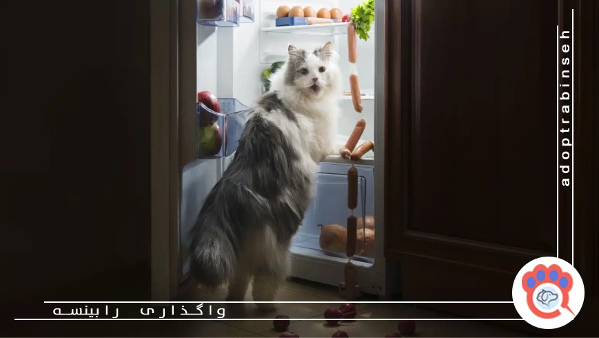 تغییر شرایط زندگی