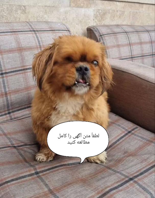 سگ پیکینز