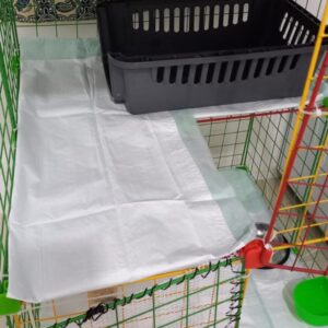 پانسیون حیوانات خانگی و نقاحط گاه درمانی(( اکازی))