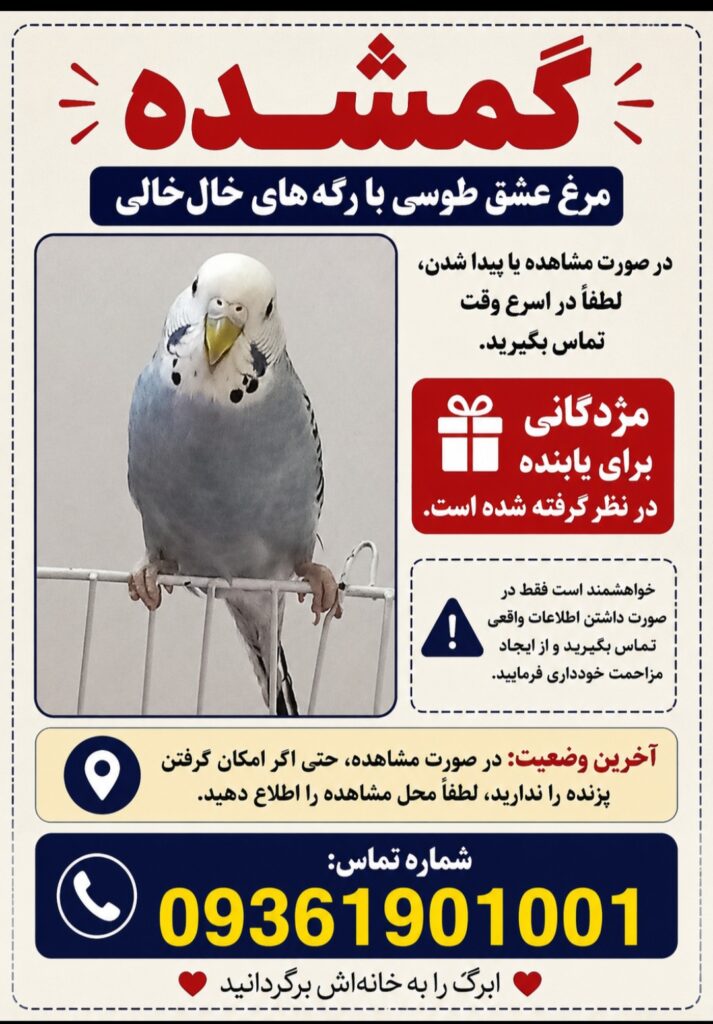 گمشده در نامجو